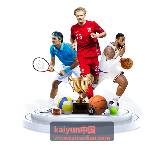 kaiyun中国实名认证机制